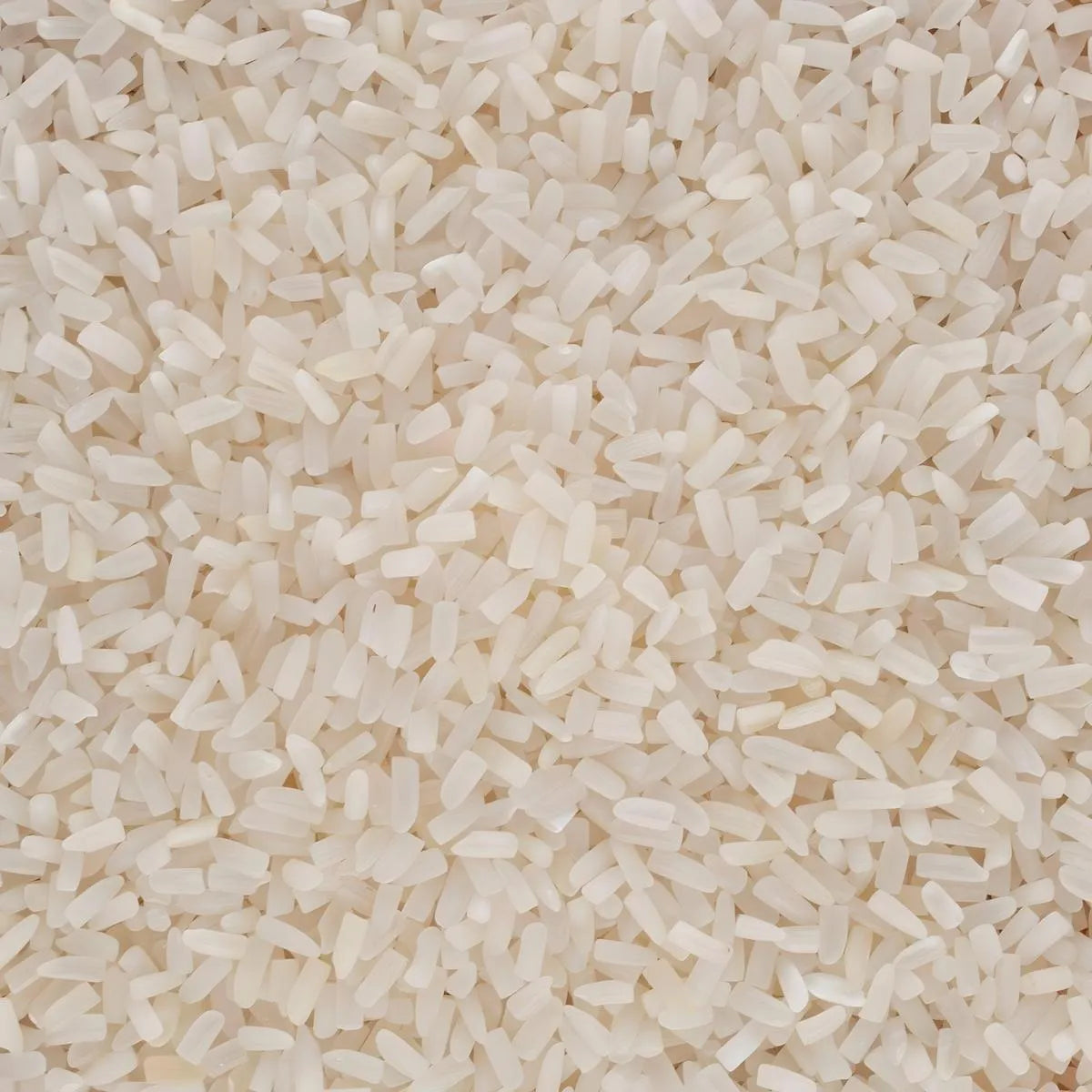 Gros plan sur grains de riz cassé trois fois TERSOL, texture ferme pour une absorption optimale des saveurs. Parfait pour cuisine africaine.
